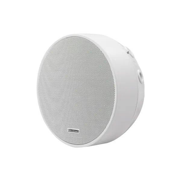 DSPPA DSP5311 6W 6.5" Frameless Surface Mount Ceiling Speake