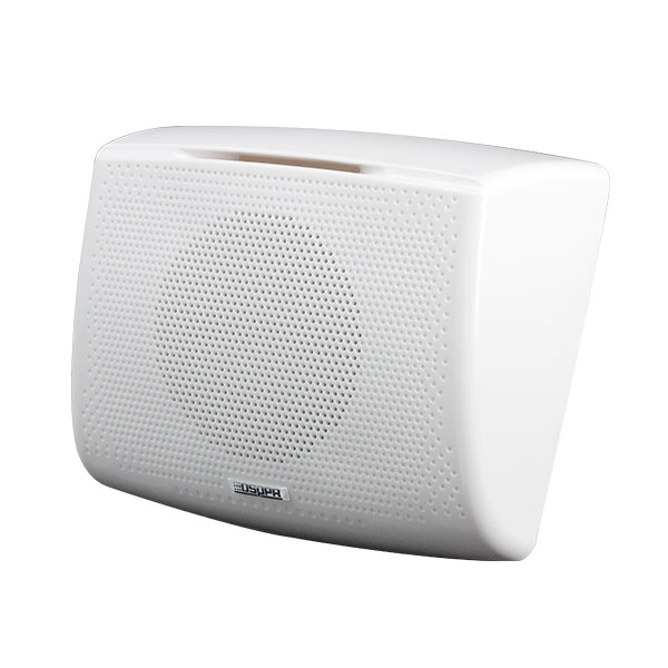 DSPPA DSP116II 6W Wall Mount Speaker with Transformer, 100V/