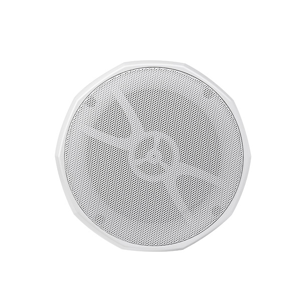 DSPPA DSP5053W 30W Pendant Speaker (White), 2-Way with Power
