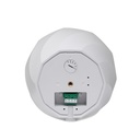 DSPPA DSP5053W 30W Pendant Speaker (White), 2-Way with Power